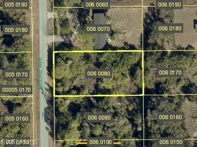 Spacious half-acre lot located in a growing area of Lehigh Acres. This oversized parcel offers ample room for a large home, additional structures, or future expansion. Conveniently situated near shopping, schools, and main roads, while still providing privacy and space. A great opportunity for builders, investors, or anyone looking to design their ideal property in a rapidly developing community.