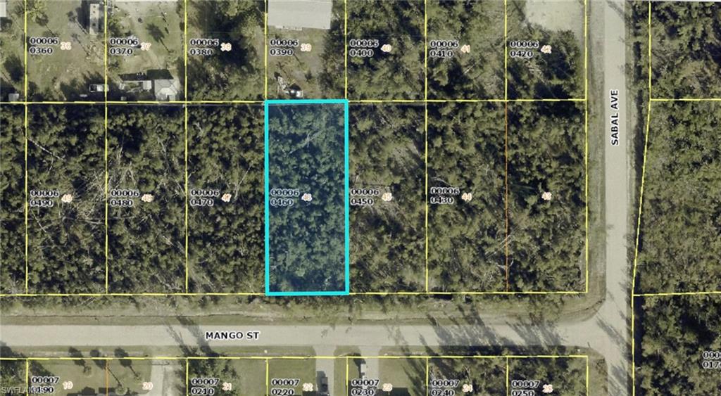 PINE ISLAND TROPICAL HOMESITES - Land