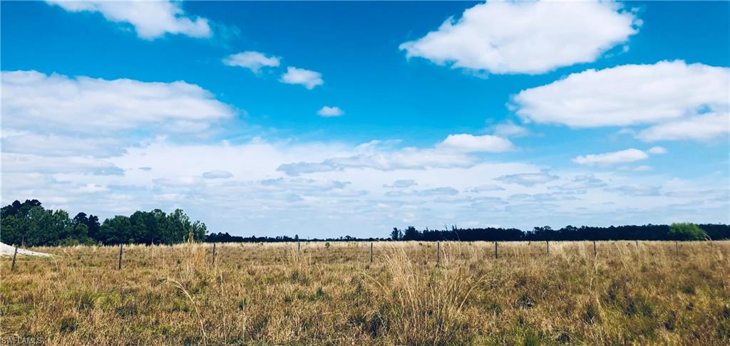 320 acres surrounded by citrus, timberland and preserved forest with 2,400’ on a paved road 10 minutes from downtown LaBelle & 45 mins to SWFL Intl Airport, Fort Myers & Naples.  2.5 hours to Miami, Tampa, Orlando. Zoned Agricultural with exemption - Can Divide for Low Density Residential Use.  Property is laser leveled and drained pasture, native pine and palmetto forest and oak hammocks along the banks of Pollywog Creek.    Pasture areas were previously planted with hay, cattle are currently grazing.  Electrical service & two 4" wells onsite.  Water and sewer will be via well and septic to be installed by Buyer. The ultimate recreation property with options. Contact listing agent for personal tour as you cannot appreciate the natural beauty of the land from the road.