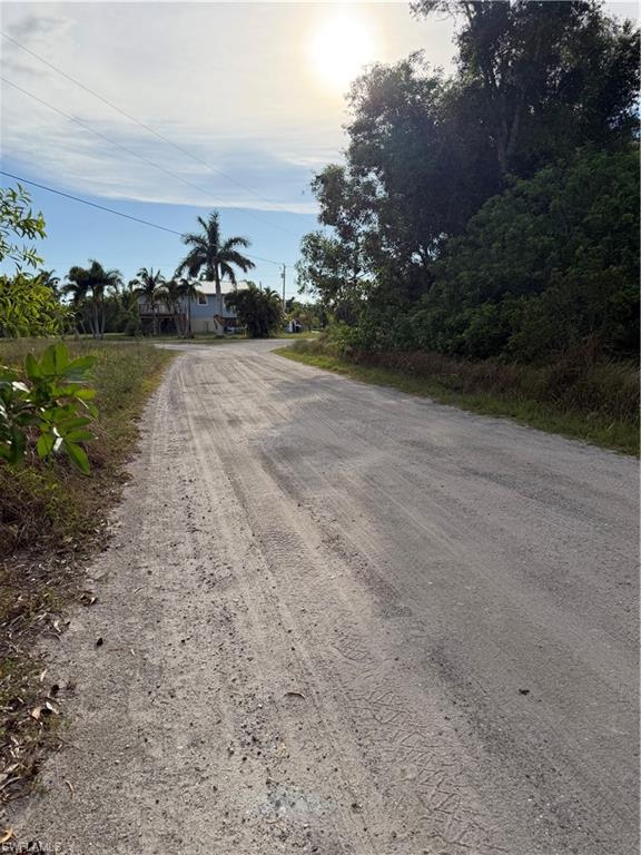 KREAMERS AVOCADO SUBD - Land