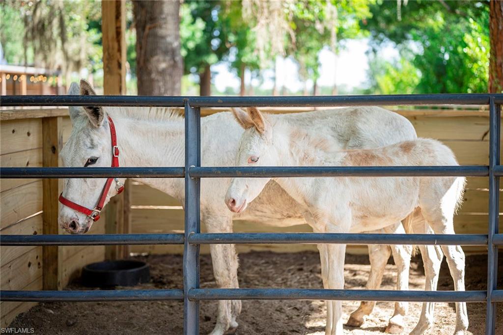 NOT APPLICABLE - Residential