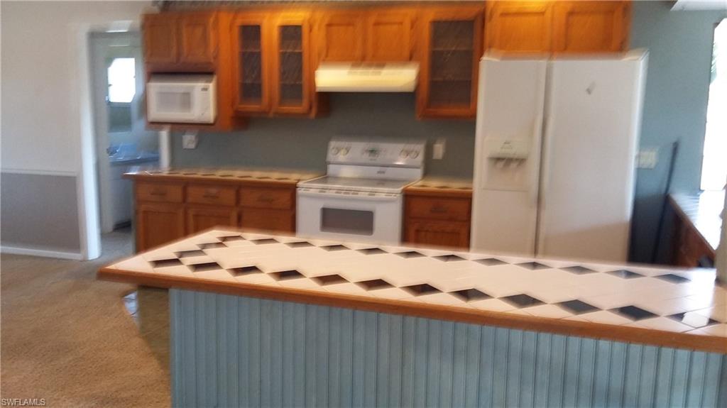 FORT MYERS SHORES - Residential