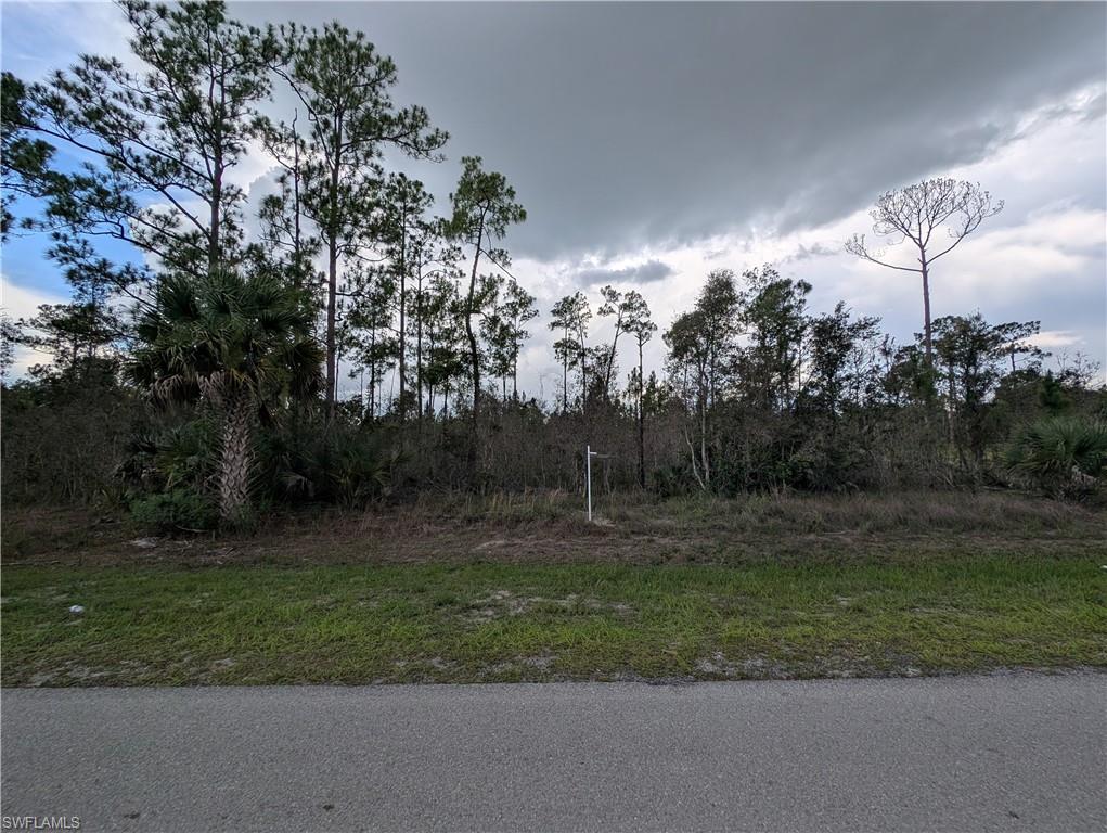 Located at 1013 MICHAEL AVE LEHIGH ACRES FL 33936 in Lehigh Acres, this parcel offers a prime opportunity to build your dream home in a peaceful and rapidly developing area. Nestled in a quiet neighborhood with minimal traffic, the property provides a serene environment while still being conveniently located near local amenities. Surrounded by natural beauty, the lot boasts a spacious layout, making it ideal for various.