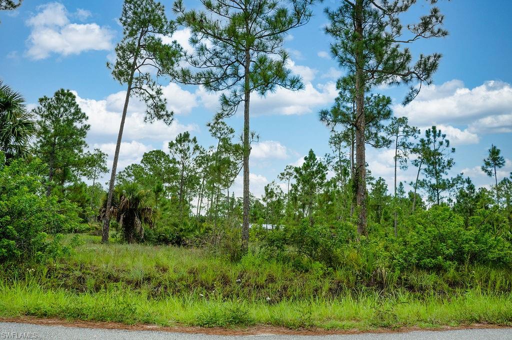 LEHIGH ACRES - Land