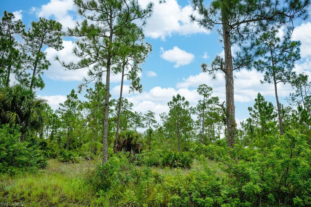 LEHIGH ACRES - Land