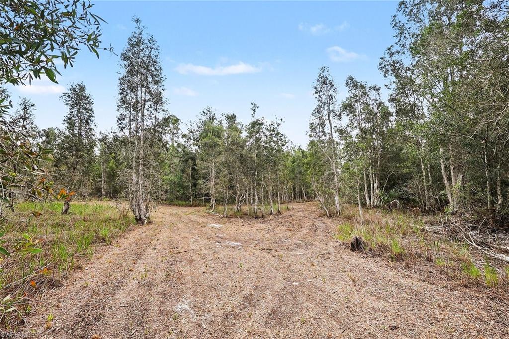 NORTH FORT MYERS - Land