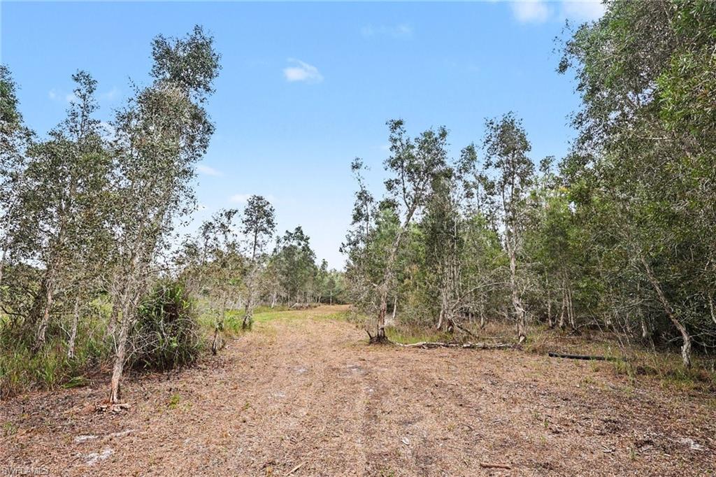 NORTH FORT MYERS - Land