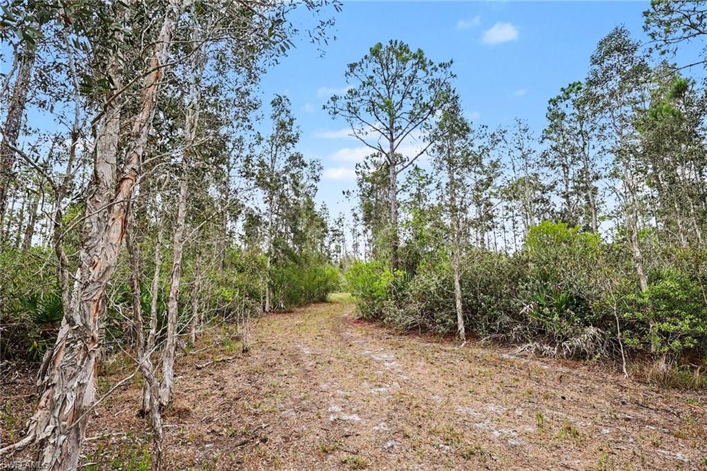 NORTH FORT MYERS - Land