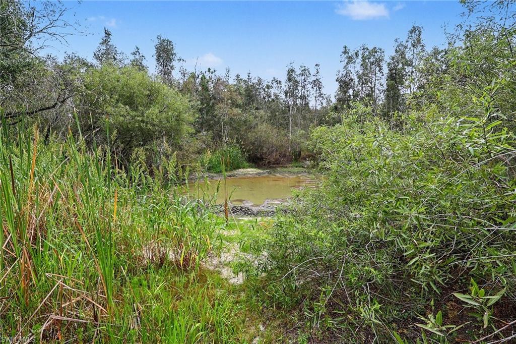 NORTH FORT MYERS - Land