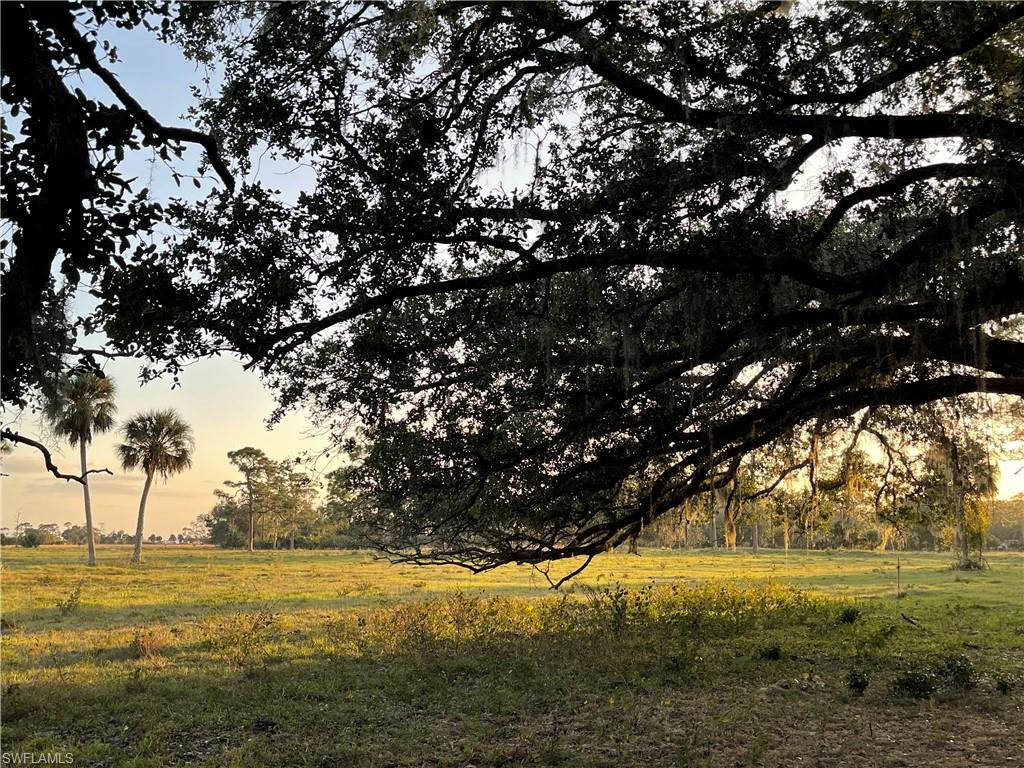 Best price on SR 80! 

125.67+/- acres of land with over 1,000 feet of frontage on SR 80! Conveniently located just west of the Helms Road Extension, Walmart, Tractor Supply, and the proposed locations for Holiday Inn and the new LaBelle High School, this is area is growing rapidly. Just 25 minutes to I-75 and all of the development happening in East Fort Myers, while also being convenient to Miami and the East Coast, this property has it all! Partially cleared along SR 80 with an older orange grove on the north side of the property. The property is currently zoned A-2, the southern 99 +/- acres has a future land use of Residential, Pre-Existing Rural Estates. The two parcels north (approximately 26 +/- acres) have a future land use of Residential Rural Estates. An additional 30+/- acres available joining the north side.

Approximately 25 minutes to Fort Myers, 35 minutes to Babcock Ranch, 45 minutes to Southwest Florida International Airport (RSW), and 2 1/2 hours to Miami.