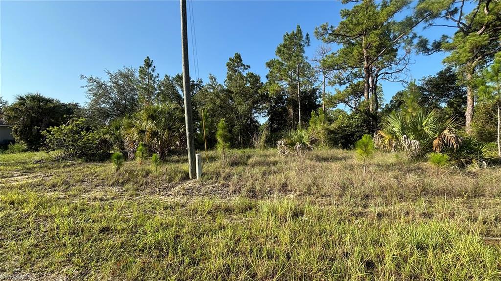 Build your dream home on this spacious, 1/4 acre residential lot in the rapidly growing community of Lehigh Acres. Located on a quiet street with no HOA fees, this property offers the perfect opportunity to create a custom home while enjoying the privacy and flexibility of Southwest Florida living. Conveniently situated near shopping, dining, schools, parks, golf courses, and major roadways, you'll have easy access to Fort Myers, Southwest Florida International Airport, and the Gulf Coast's beautiful beaches. Whether you're ready to build now or looking to invest for the future, this vacant lot offers excellent potential in one of Southwest Florida's fastest-growing areas.
