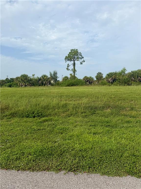 CAPE CORAL - Land