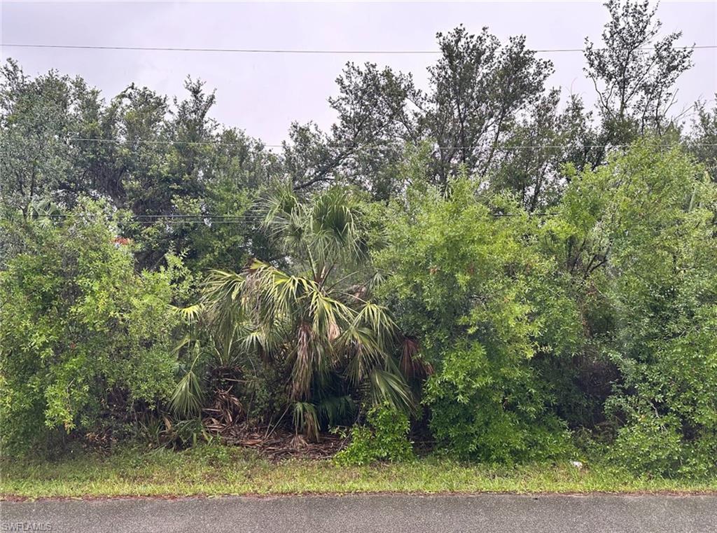 PUNTA GORDA ISLES - Land