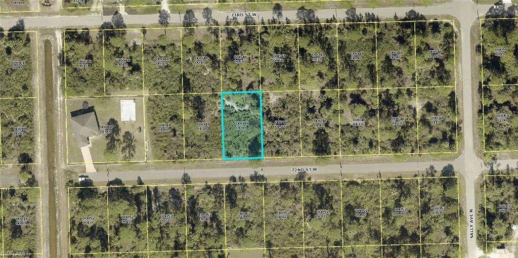 LEHIGH ACRES - Land