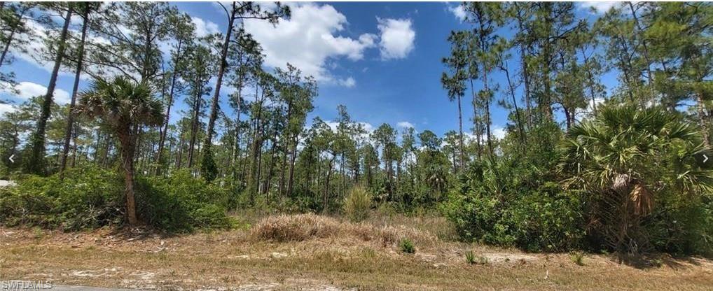100% upland, 2.5-acre! High demand lots like this are becoming more difficult to find. DEP report available. 
 Build the home you've always envisioned on this beautiful lot with many mature trees, located on a quiet street, this exceptional property offers the perfect blend of privacy, peace, and space to create your ideal lifestyle. With no wetlands to work around, you'll have maximum flexibility for your custom home. Enjoy the tranquility of country living while remaining just a short drive from shopping, dining, schools, and all that Naples has to offer. Don't miss this rare opportunity to own a fully buildable 2.5-acre parcel in a highly desirable location.