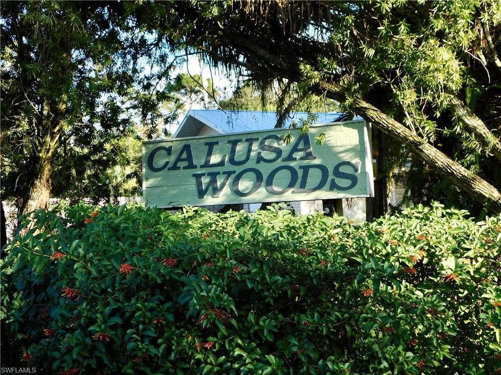 CALUSA WOODS - Residential