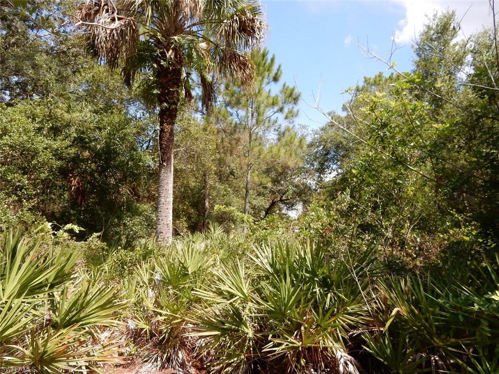 LEHIGH ACRES - Land