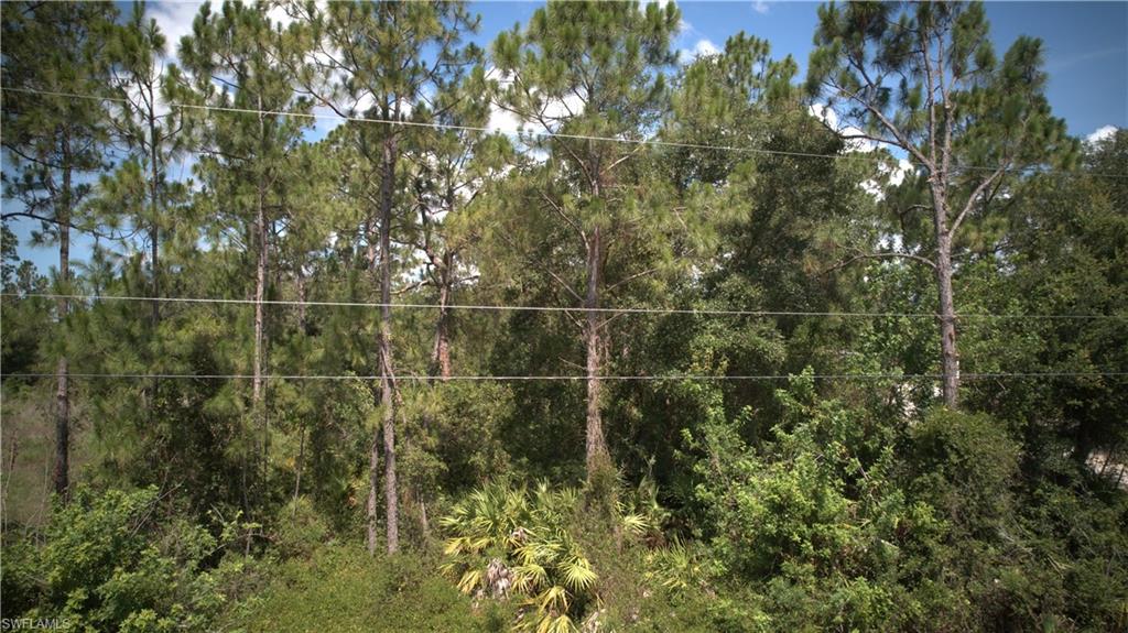 LEHIGH ACRES - Land