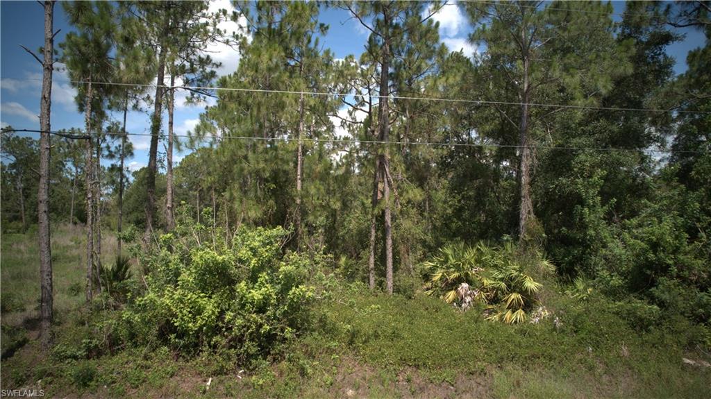 LEHIGH ACRES - Land