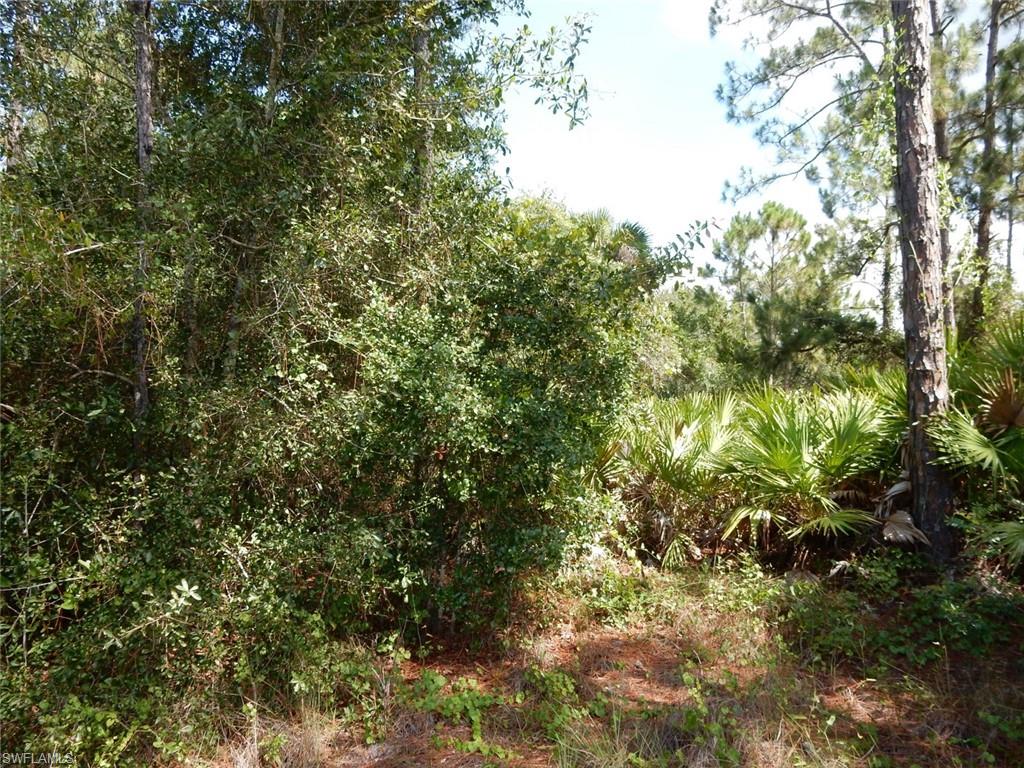 LEHIGH ACRES - Land
