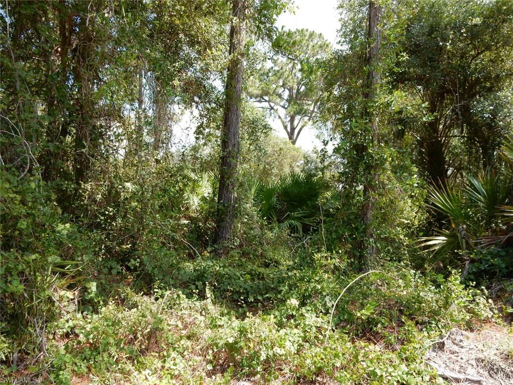 LEHIGH ACRES - Land