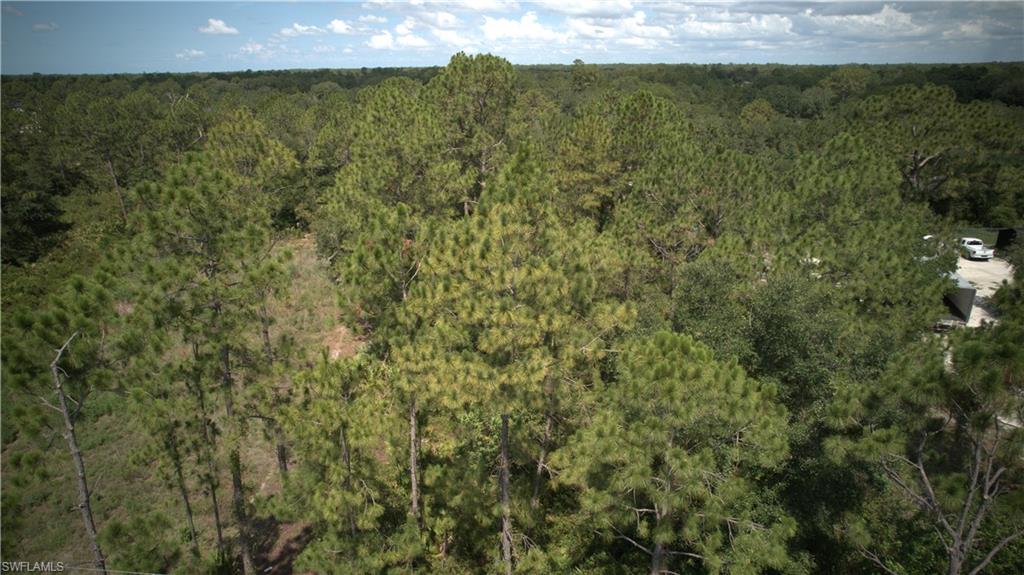 LEHIGH ACRES - Land