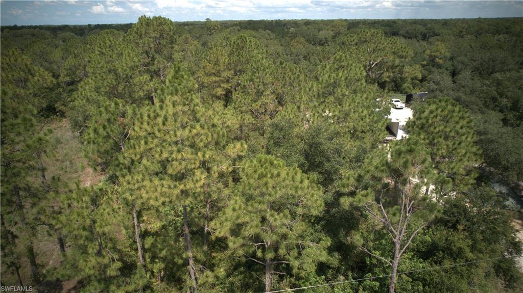 LEHIGH ACRES - Land