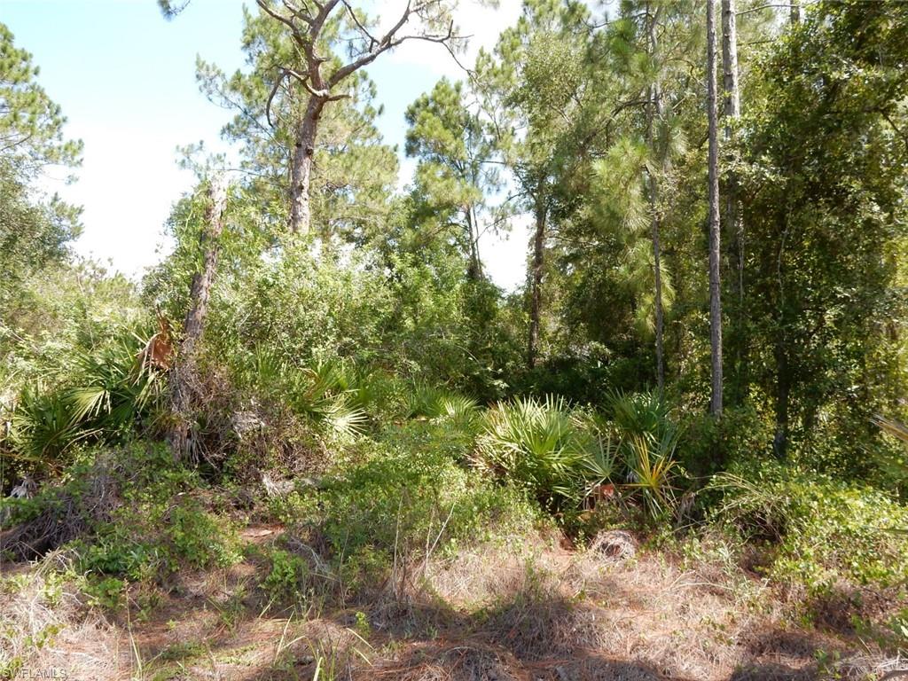 LEHIGH ACRES - Land