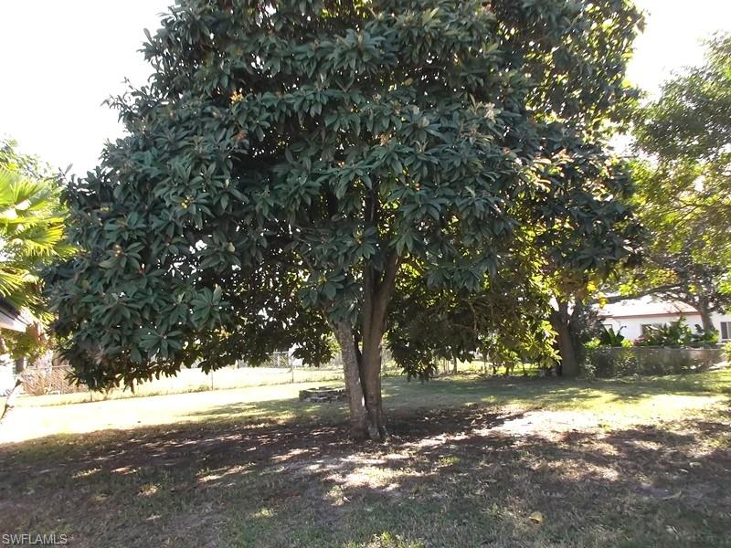 WEDGEWOOD - Residential