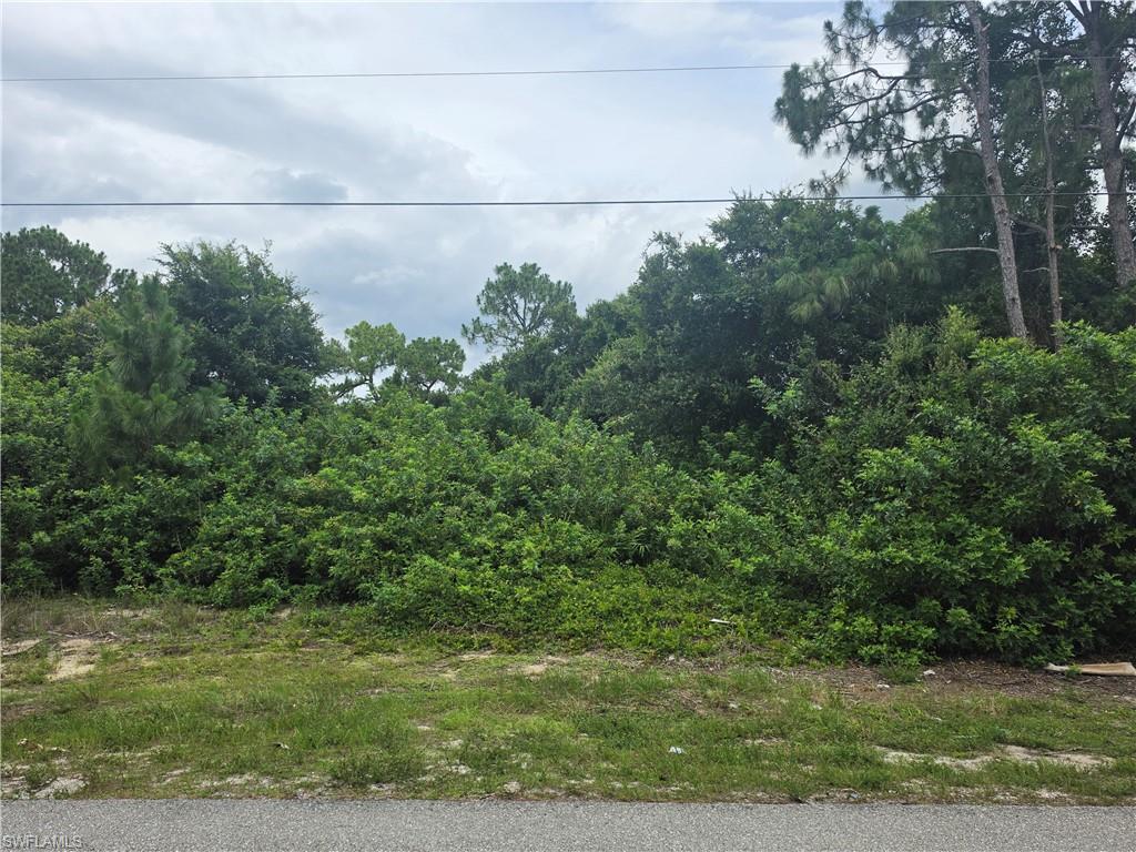 LEHIGH ACRES - Land