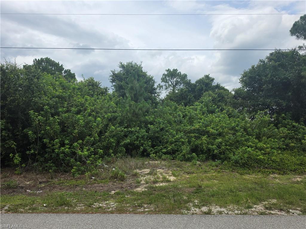 LEHIGH ACRES - Land