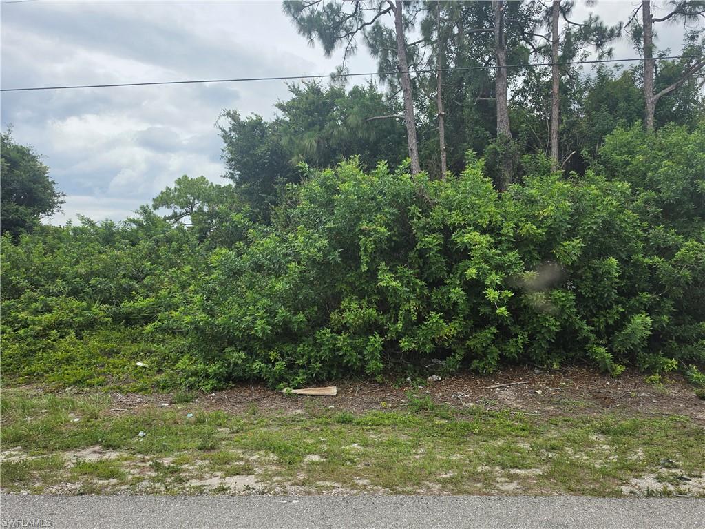 LEHIGH ACRES - Land