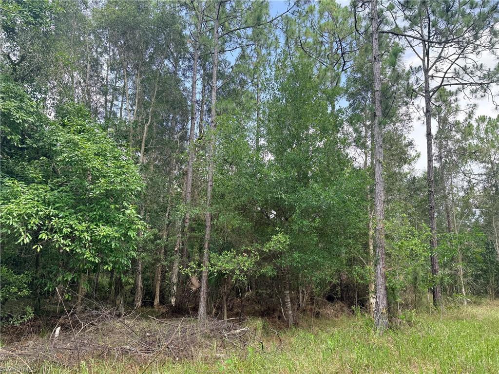 ACREAGE - Land