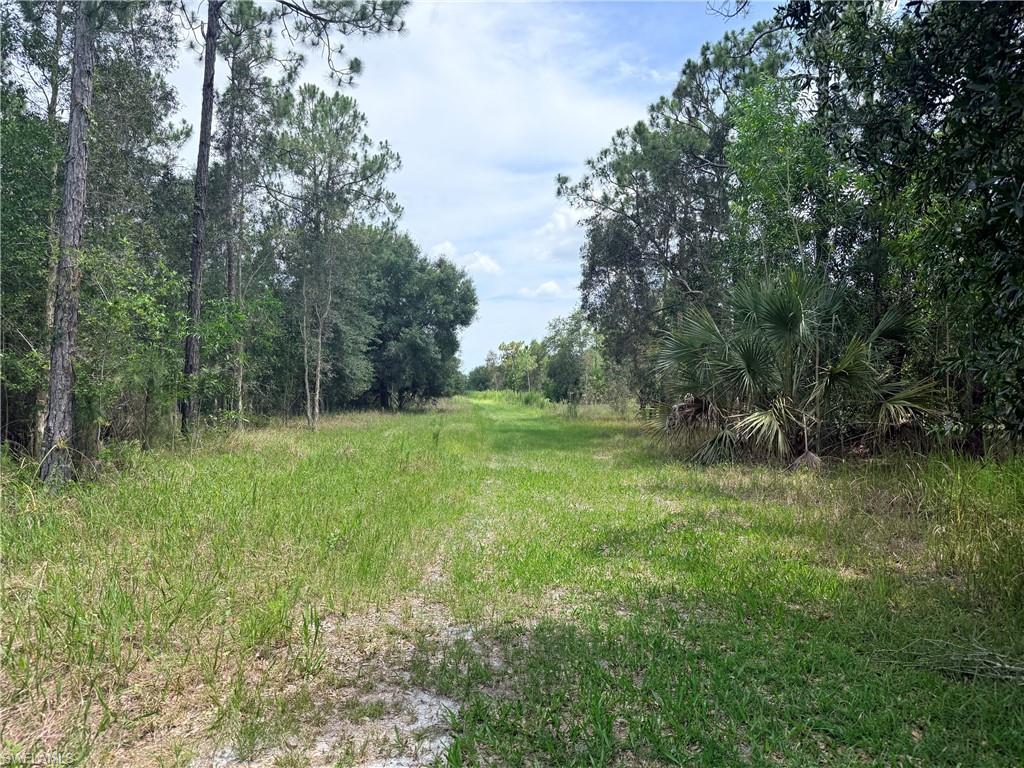 ACREAGE - Land