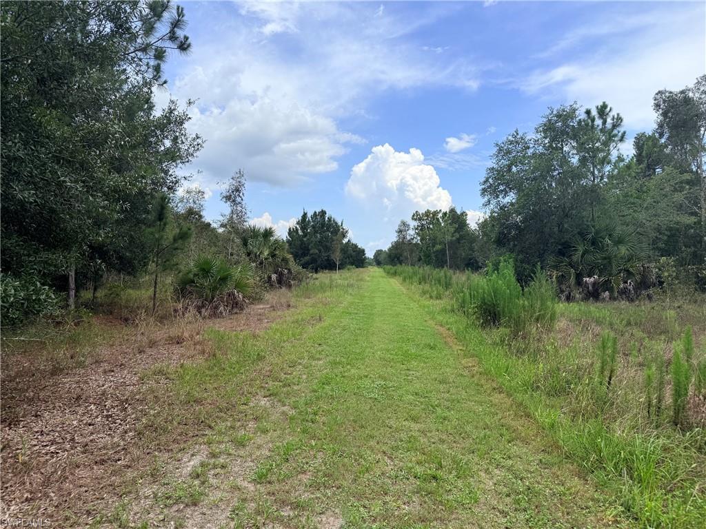 ACREAGE - Land