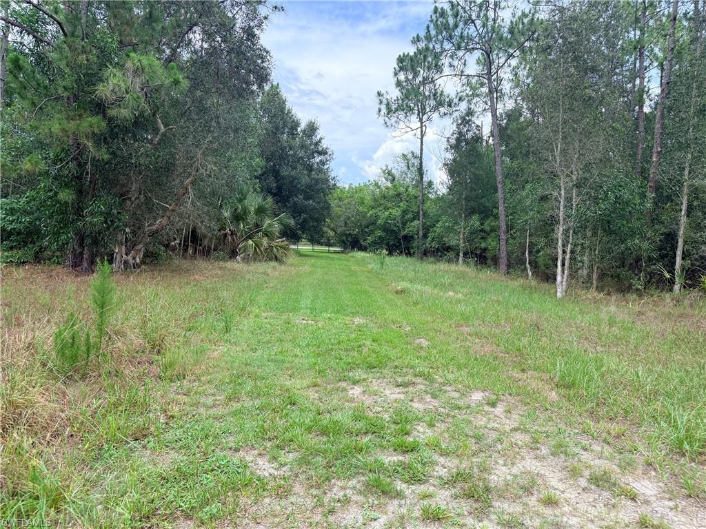 Discover an exceptional 4.75-acre parcel perfectly positioned within the rapidly growing Immokalee Corridor. Surrounded by lush, mature trees, this expansive property offers a peaceful country atmosphere while remaining just minutes from everyday conveniences—including a new Publix, Big Corkscrew Island Regional Park, and the Orangetree Shopping Center. Nestled just off Immokalee Road and Sanctuary Road, this tract presents an opportunity to enjoy nature at your doorstep. It’s ideal for residential living, grazing, horse enthusiasts, hobby farming, livestock, or a variety of recreational activities—offering endless possibilities for your vision. The surrounding Corkscrew region is bordered by approximately 64,000 acres of premier preservation land, including the Audubon Corkscrew Swamp Sanctuary, CREW Bird Rookery, and Lake Trafford. This vast network of protected natural areas ensures enduring privacy, abundant wildlife, and a lifetime of scenic beauty. With its pristine landscape, generous acreage, and prime location in one of Southwest Florida’s fastest-growing areas, this property is an ideal setting for building your dream home, creating a private retreat, or securing a valuable long-term investment. Buyers seeking tranquility, natural surroundings, and proximity to Naples’ expanding communities will find this land to be a true gem.