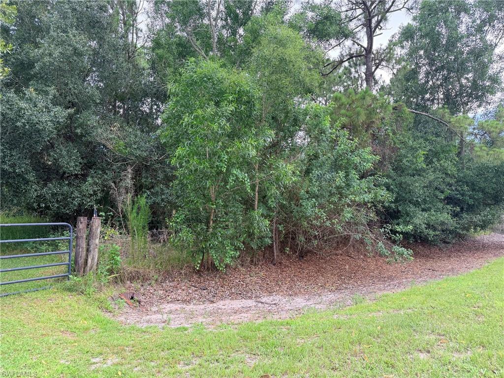 ACREAGE - Land