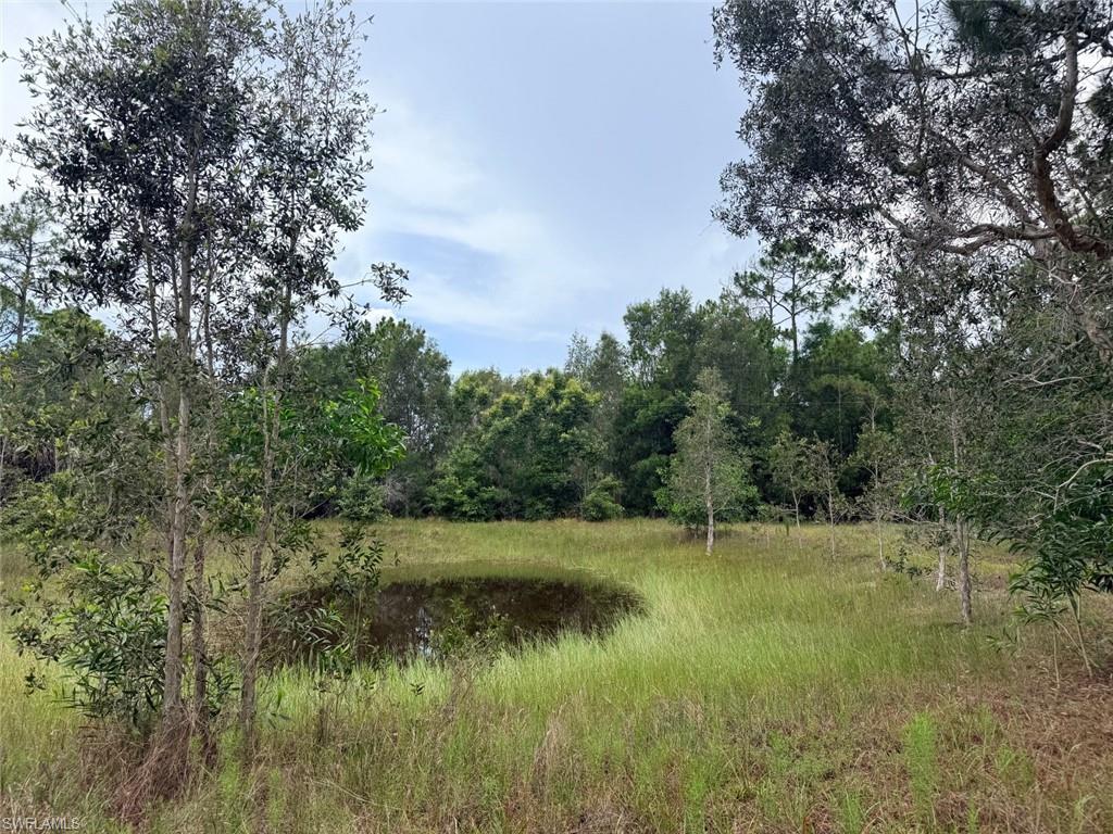 ACREAGE - Land