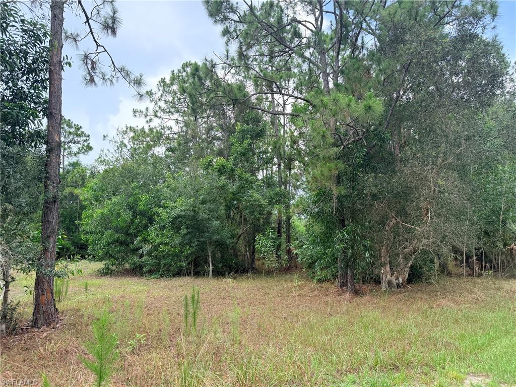 ACREAGE - Land