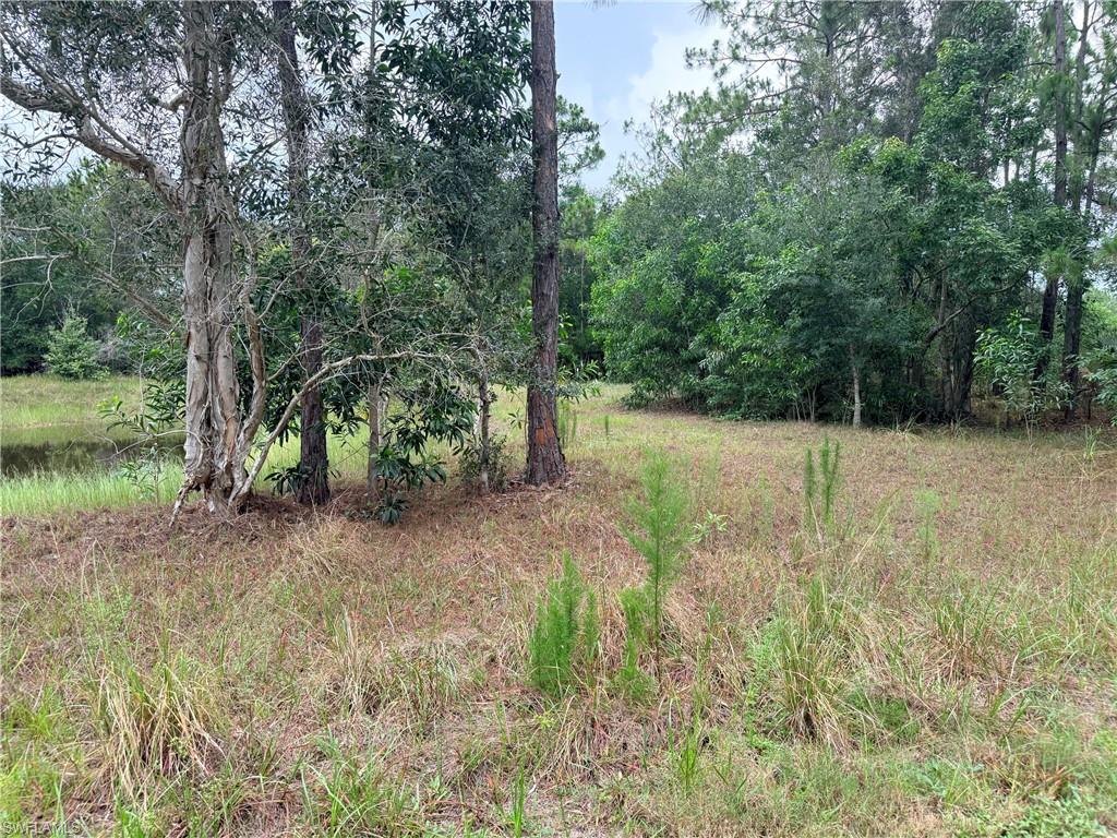 ACREAGE - Land