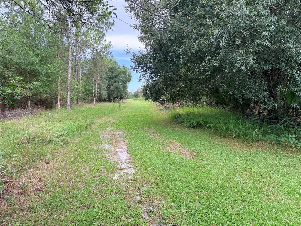 ACREAGE - Land