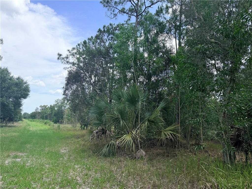 ACREAGE - Land
