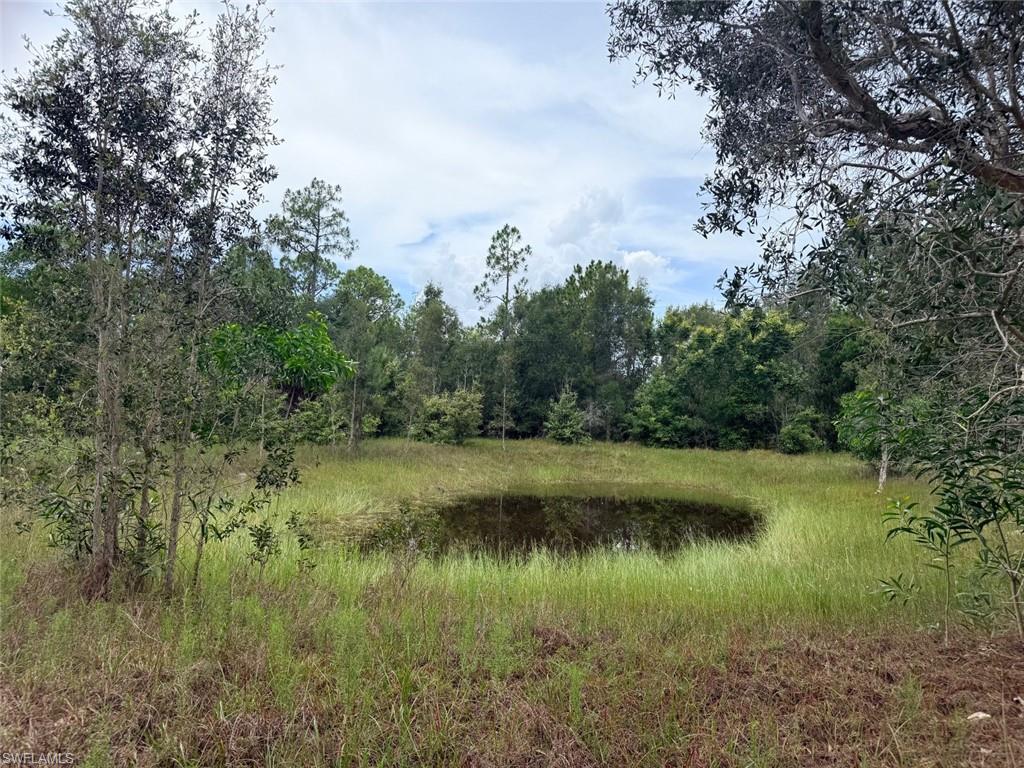 ACREAGE - Land