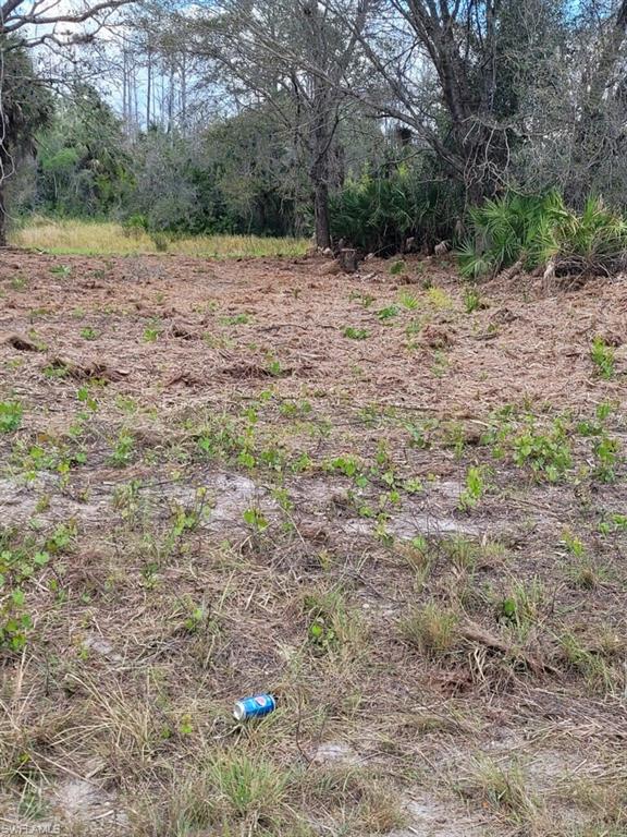 LEHIGH ACRES - Land