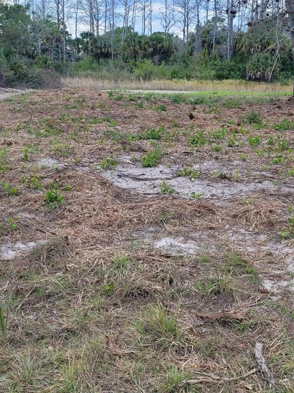 LEHIGH ACRES - Land