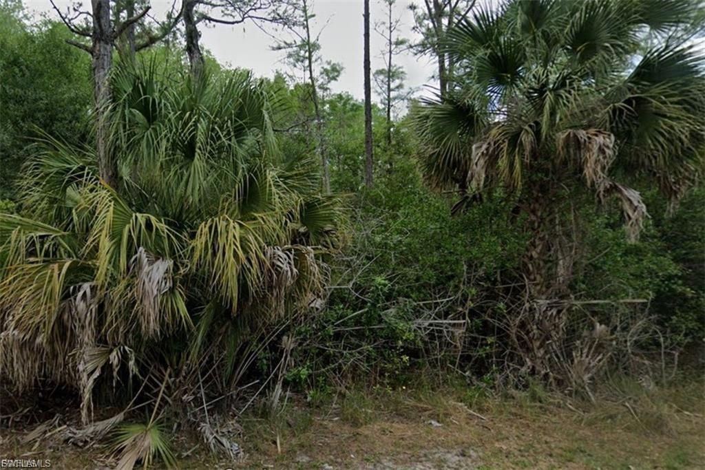 LEHIGH ACRES - Land