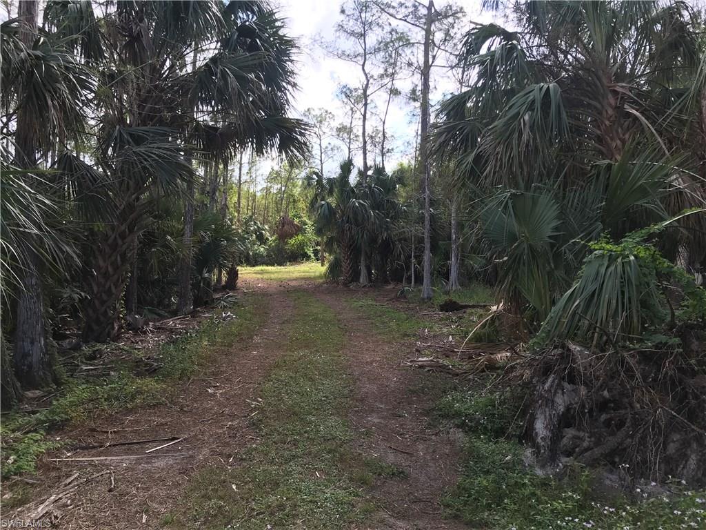 LOGAN WOODS - Residential