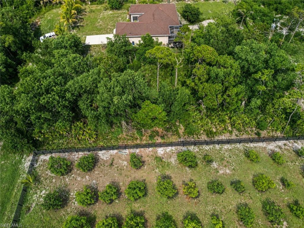 KREAMERS AVOCADO SUBD - Land