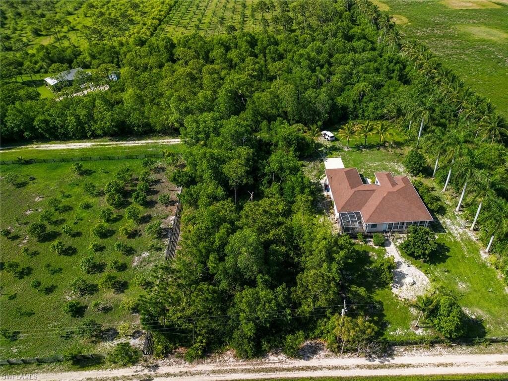 KREAMERS AVOCADO SUBD - Land