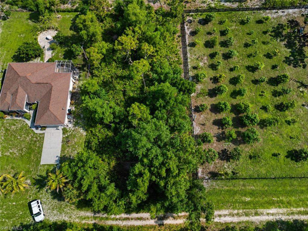 KREAMERS AVOCADO SUBD - Land